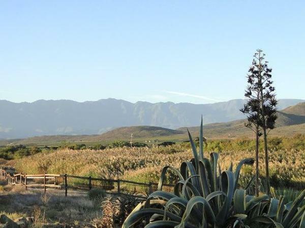 Tanagra Wine & Guestfarm Leilighet McGregor Eksteriør bilde