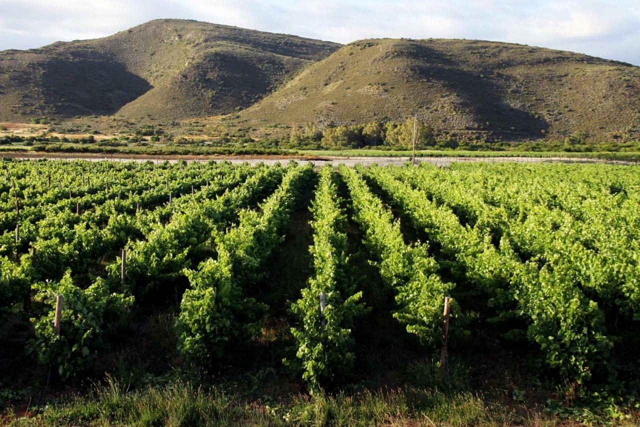 Tanagra Wine & Guestfarm Leilighet McGregor Eksteriør bilde